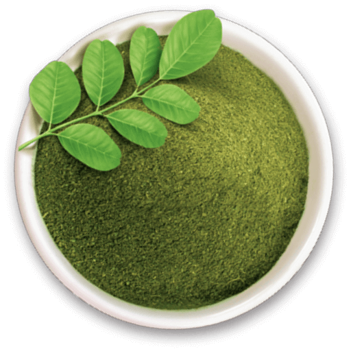 Rudraksh Health Care Features